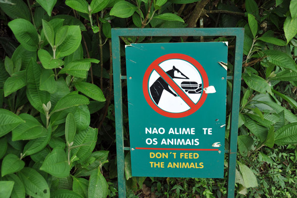 Don't feed the Coatis