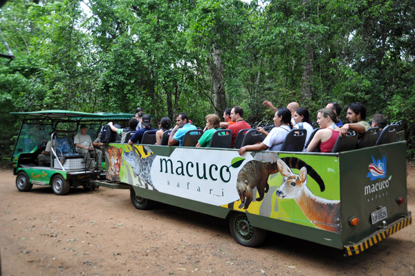 Macuco Safari - Parque Nacional do Iguau