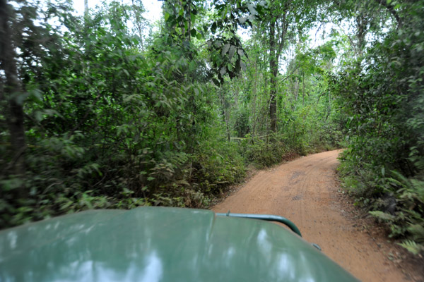 A drive through the jungle of Iguau National Park down to the boat launch