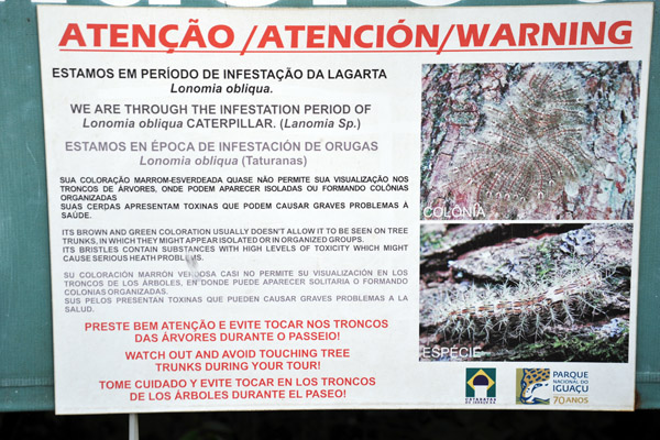 Warning for infestation period of the highly toxic Lonomia oblique caterpillar