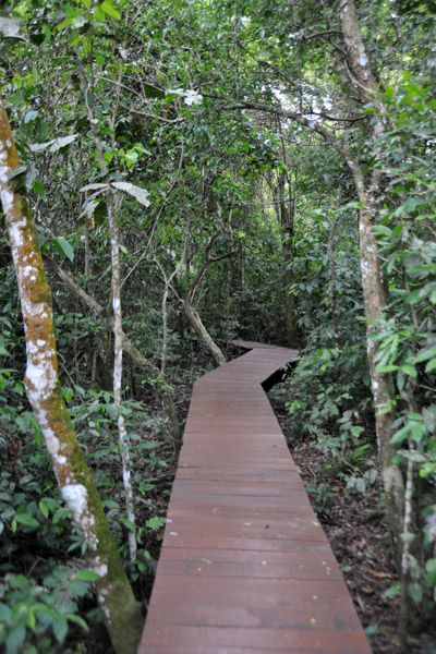 Walkway, Iguau National Park