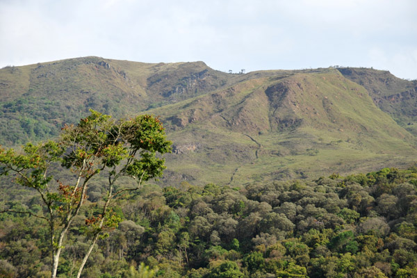 Temperate green hills of Minas Gerais