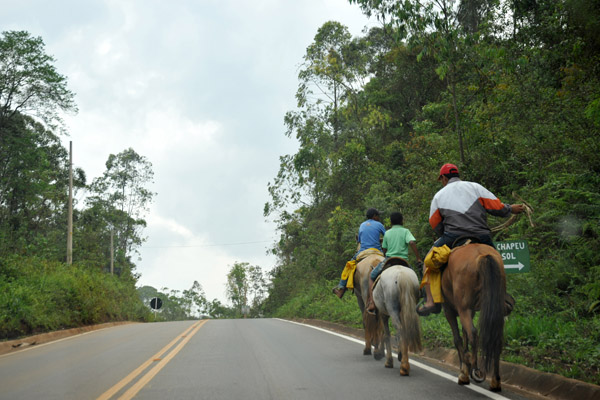 Horses along the Estrada Real (BR 356) from Ouro Preto to Mariana
