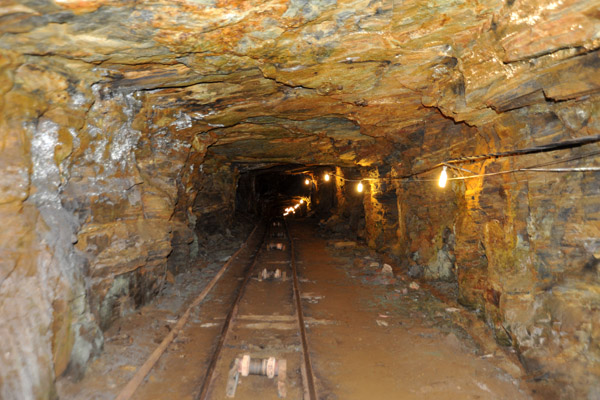 The gold mines of Ouro Preto and Mariana produced 700 tons of gold in the 18th C., half of the world's production at that time