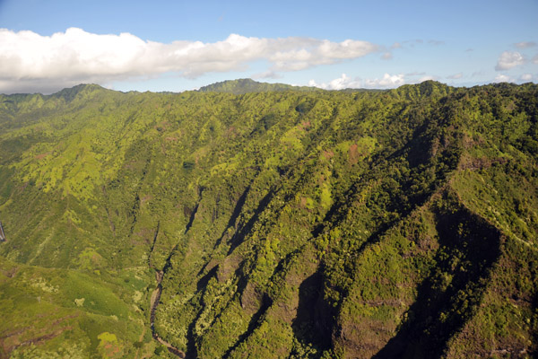 Valley of the Hanapepe River below Jurassic Falls