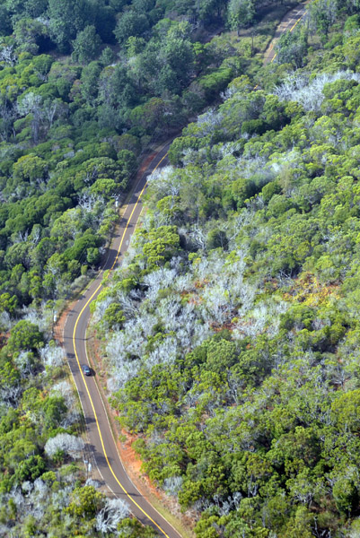 Waimea Canyon Drive