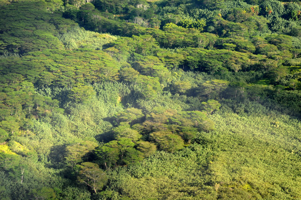 Central Kauai