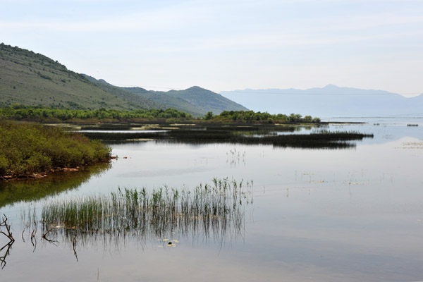 Lake Shkodr at Hani i Hotit, the only time the main road passes directly along the lakeshore