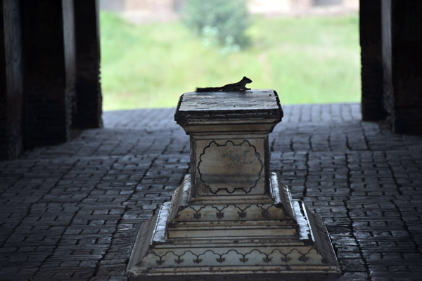 Chipmunk on top of the sarcophagus of Asif Khan