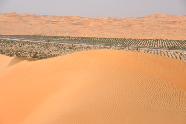 LiwaDec11 0241.jpg