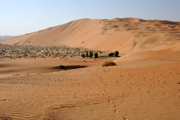 LiwaDec11 0314.jpg