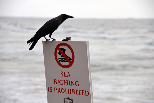 Galle Face Hotel, sea bathing prohibited