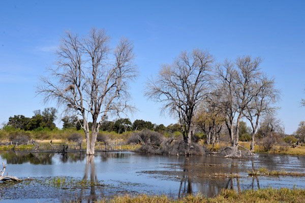 BotswanaJun12 0906.jpg