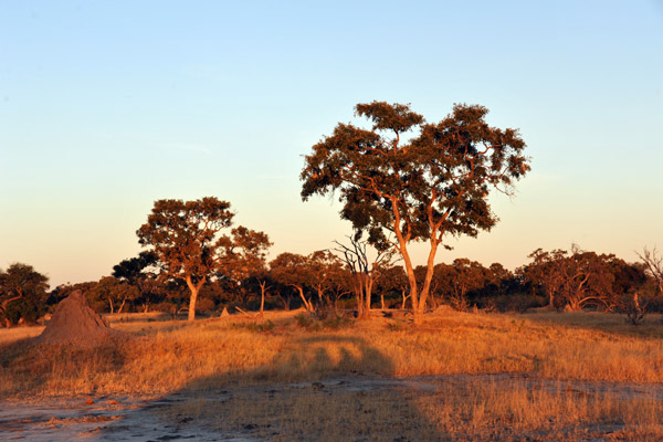 BotswanaJun12 0958.jpg