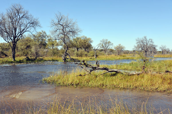 Not every game drive is successful - back to camp for lunch