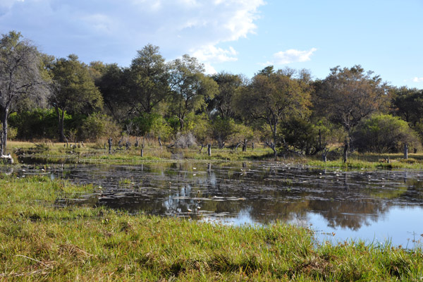 BotswanaJun12 0303.jpg