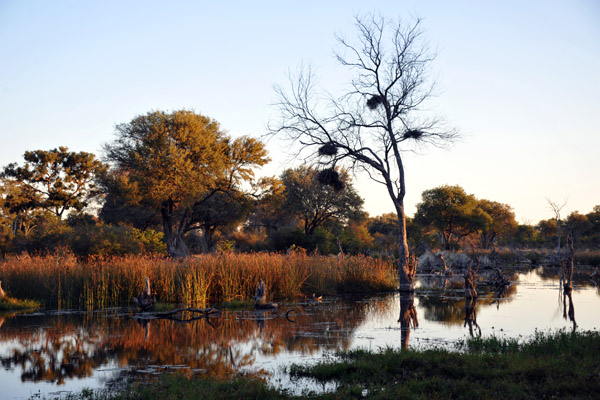 BotswanaJun12 0980.jpg