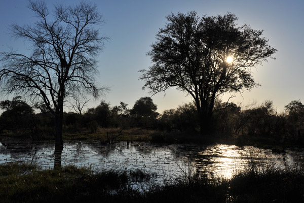 BotswanaJun12 0984.jpg