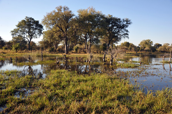 BotswanaJun12 1119.jpg