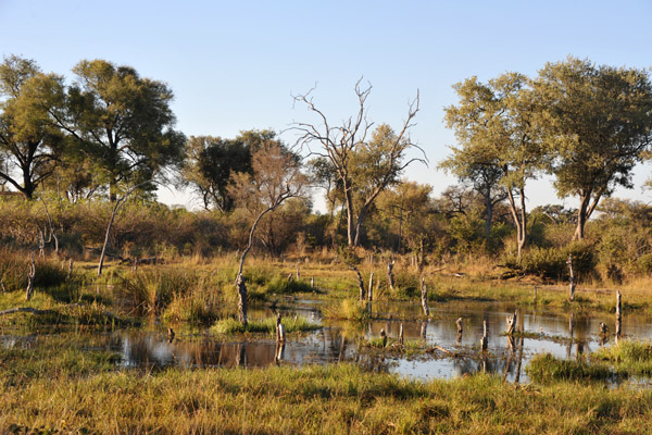 BotswanaJun12 1123.jpg