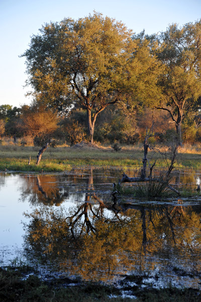 BotswanaJun12 1175.jpg