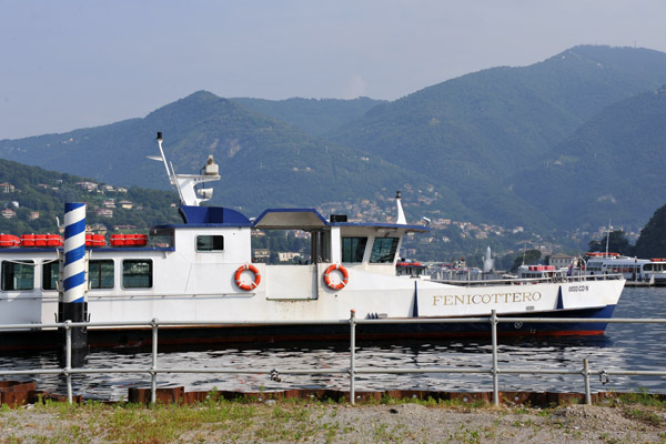 Como tourist boat - Fenicottero