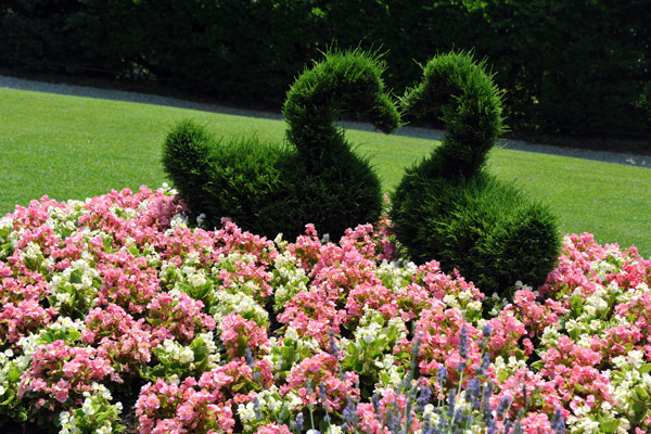 Topiary ducks, Villa Carlotta