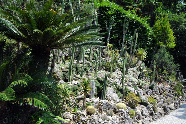 Cactus Garden, Villa Carlotta