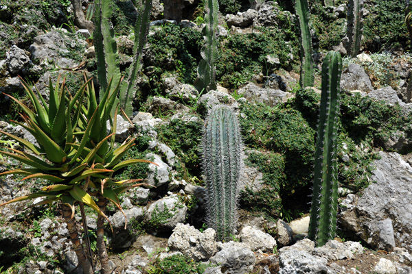 Cactus Garden, Villa Carlotta