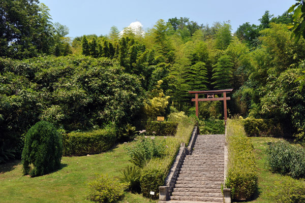 Bamboo Garden, Villa Carlotta