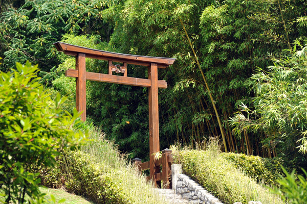 Bamboo Garden, Villa Carlotta