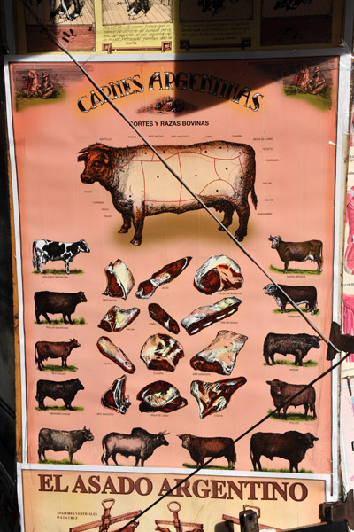 Argentinian beef breeds and cuts