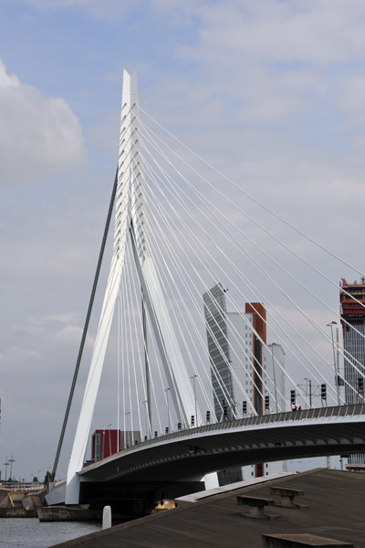 Erasmusbrug, Rotterdam