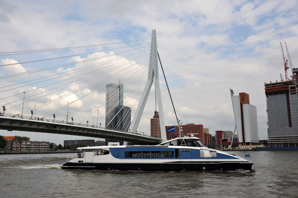 Rotterdam Waterbus with the Erasmus Bridge