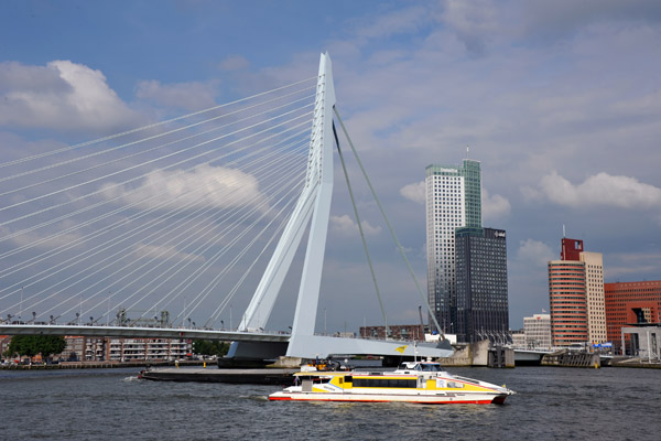 RTV Waterbus, Erasmusbrug, Nieuwe Maas