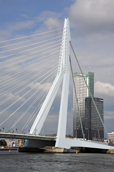 Erasmusbrug, Rotterdam