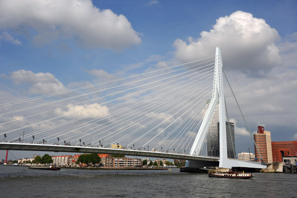 Erasmusbrug, Nieuwe Maas, Rotterdam