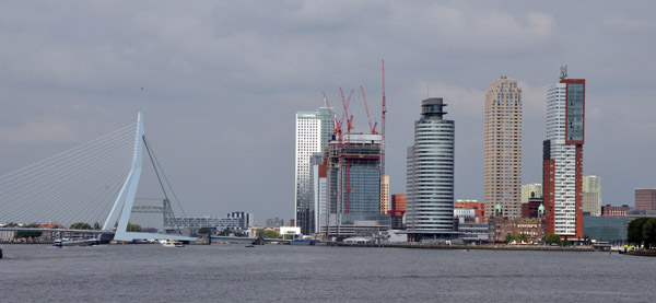Erasmus Bridge, Nieuwe Maas, Kop van Zuid, Port of Rotterdam