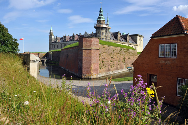 Wildflowers on the outer fortifications of the Kronborg