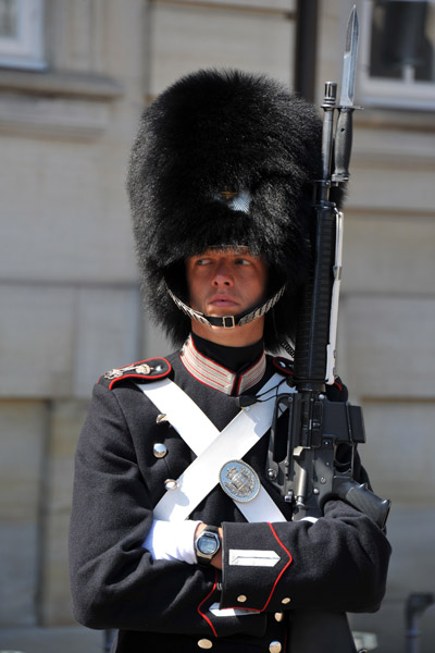 Watchful Danish Guard