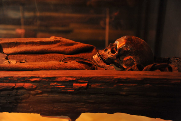 Oak coffin of an elderly woman found near rhus