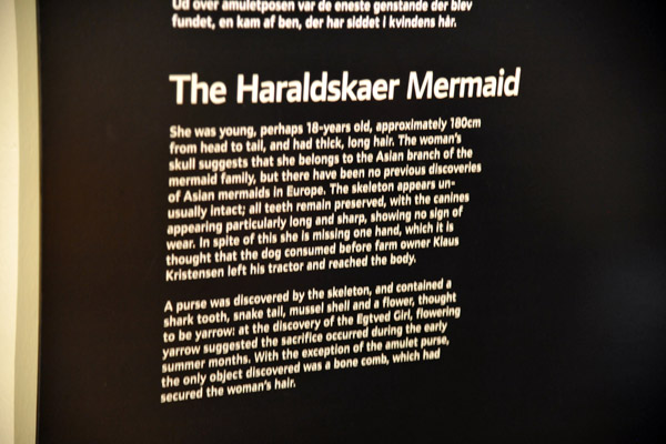 One of several Tall Tales exhibited throughout the museum