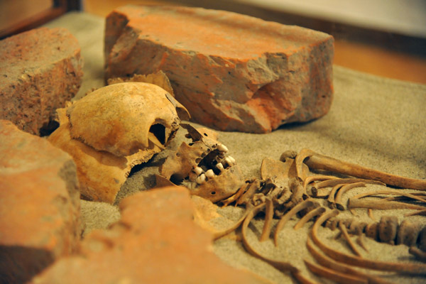 Skeleton of a child from St. Bends Church, Ringsted, ca 1080-1200