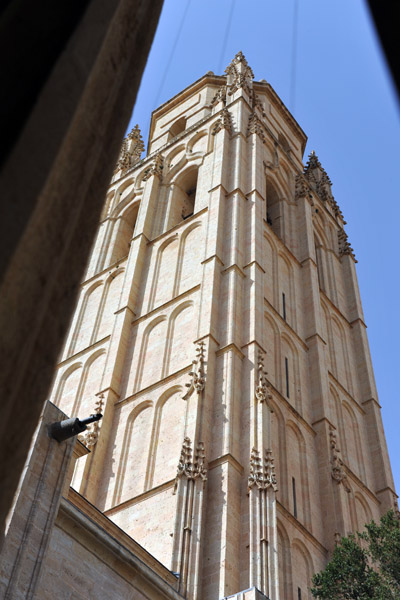The tower of Segovia Cathedral from the cloister