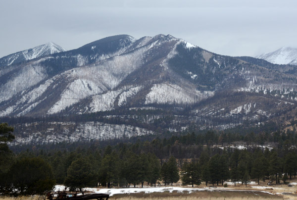 Payson & Flagstaff