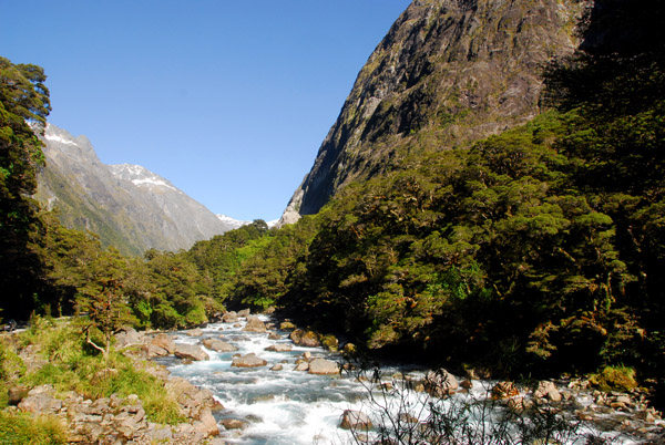 Hollyford River along the Milford Highway, Fiordland