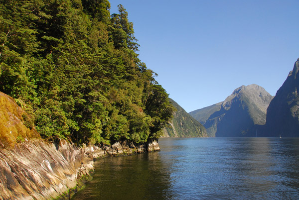 Encounter Nature Cruise, Milford Sound