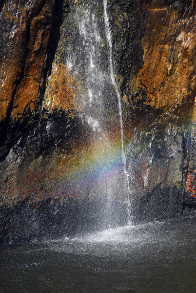 Rainbow in a Milford Sound waterfall