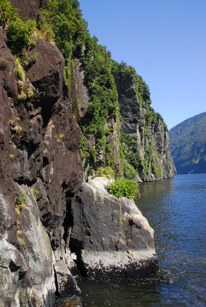 South shore, Milford Sound