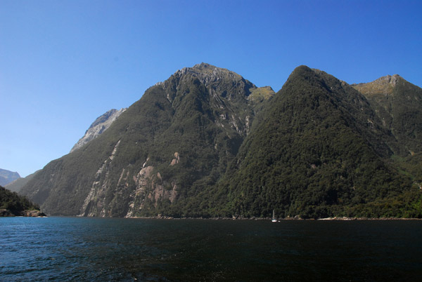 Milford Sound looking east